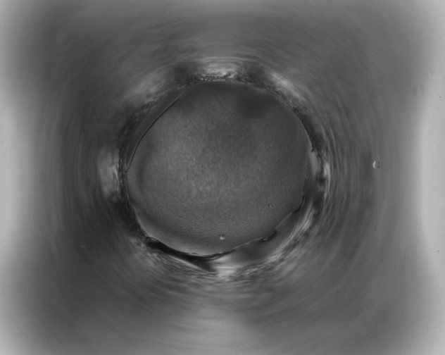 X0000086941394200704301128