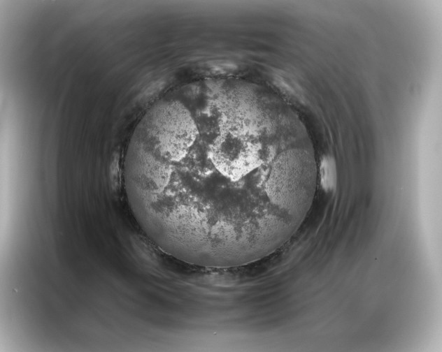 X0000086941395200704301128