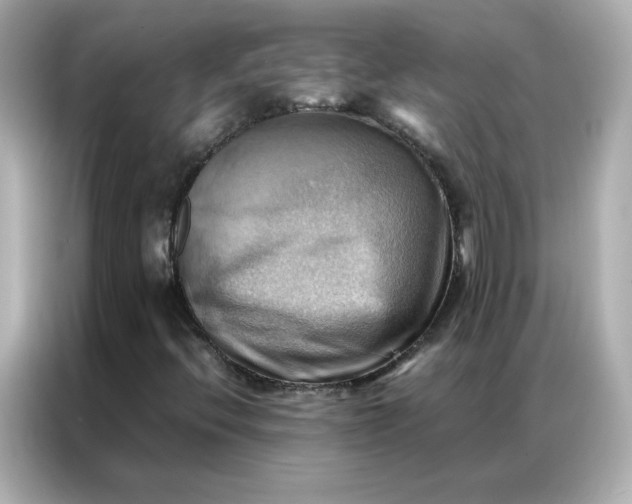 X0000086941396200704301128