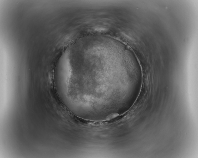 X0000086941397200704301128
