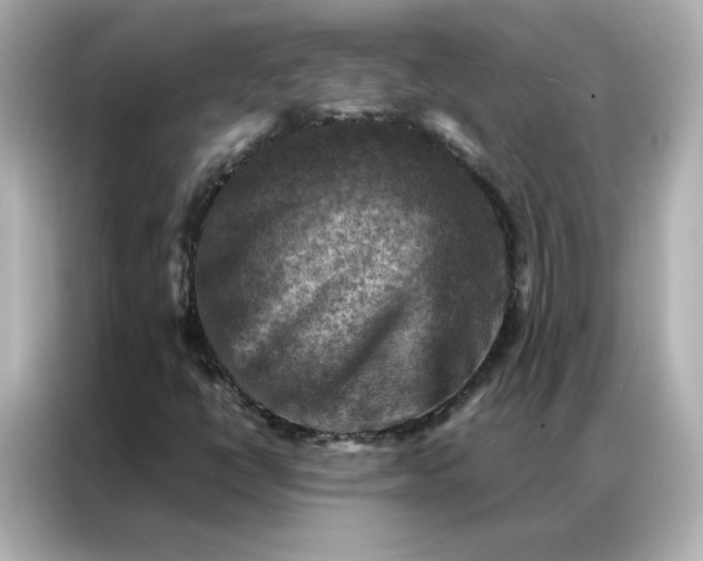 X0000086941398200704301128