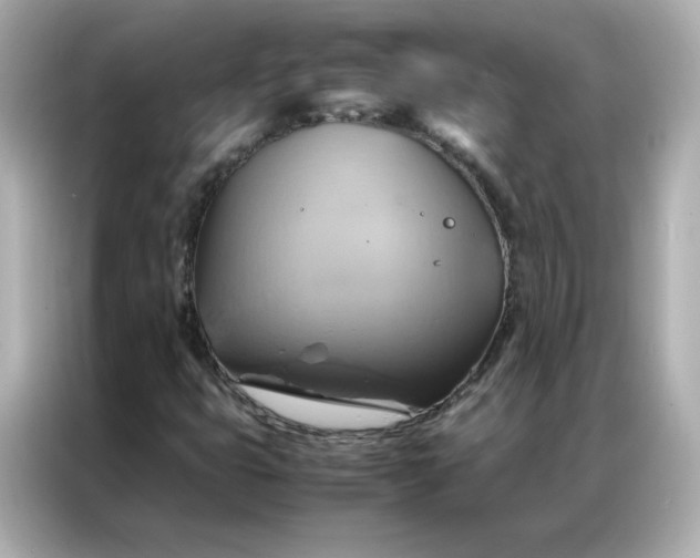 X0000086941399200704301128