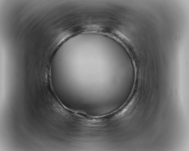 X0000086941401200704301128