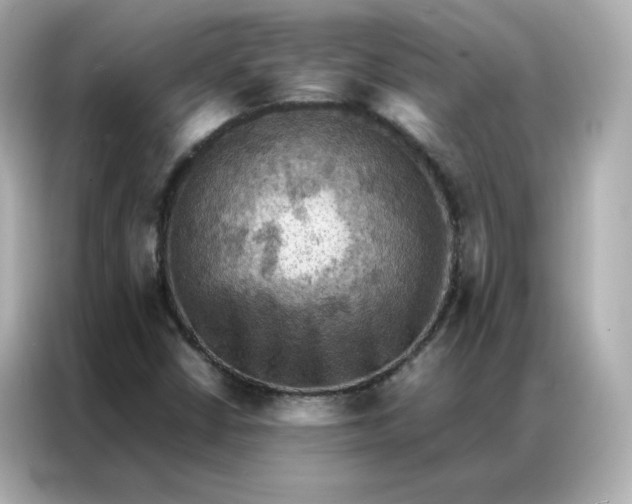 X0000086941402200704301128