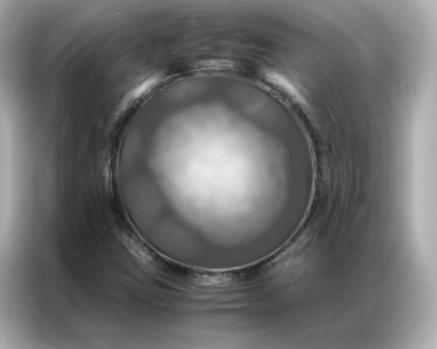 X0000086941403200704301128