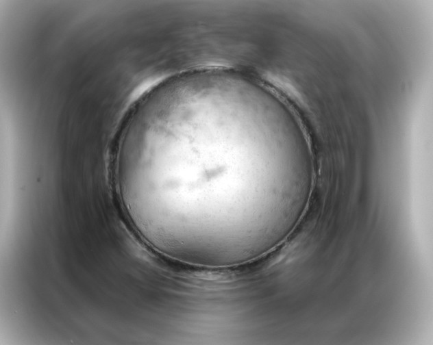 X0000086941404200704301128
