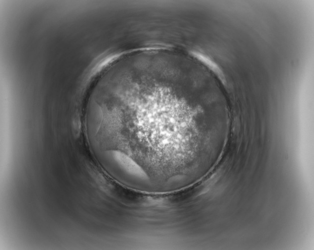 X0000086941407200704301128