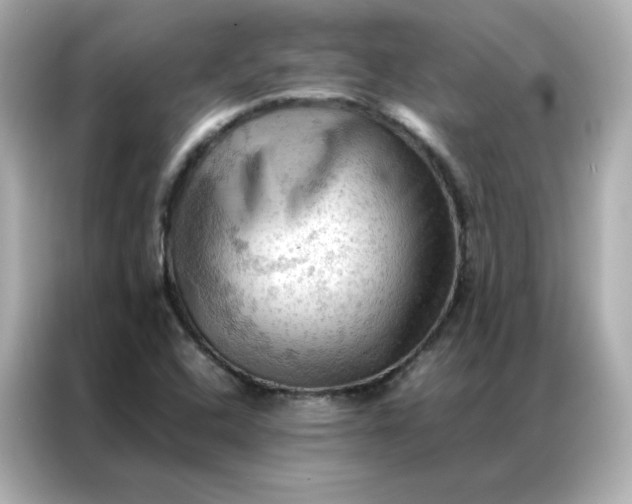 X0000086941408200704301128
