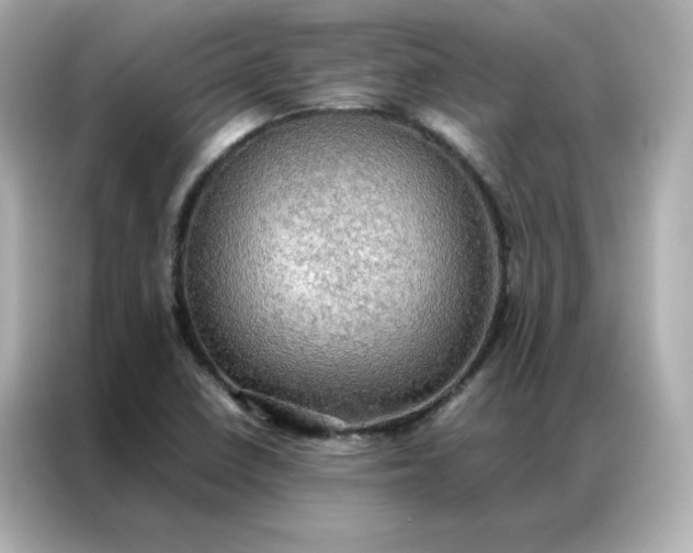 X0000086941410200704301128