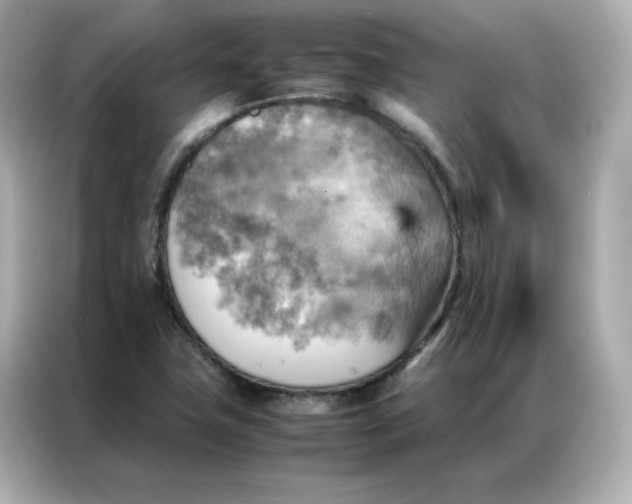 X0000086941411200704301128