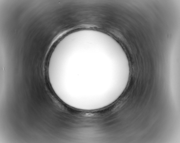 X0000086941412200704301128