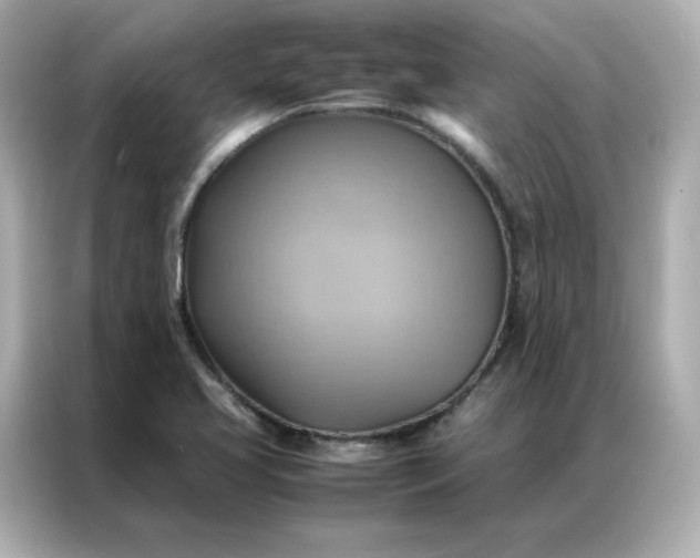 X0000086941413200704301128