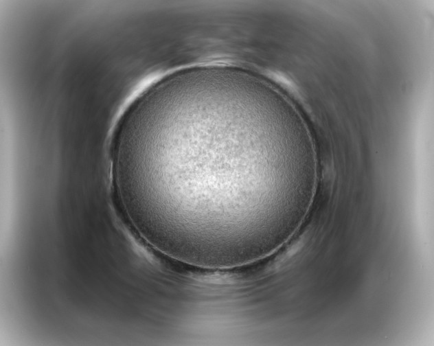 X0000086941414200704301128