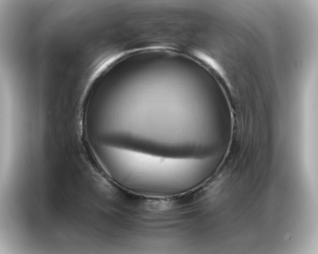 X0000086941415200704301128