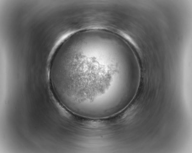 X0000086941416200704301128
