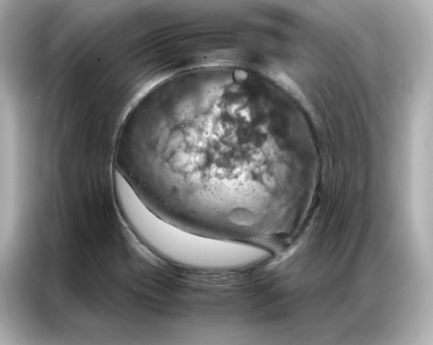 X0000086941417200704301128