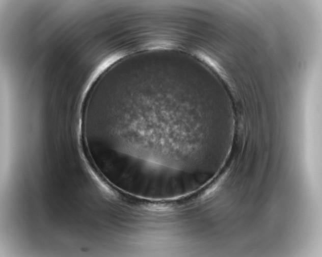 X0000086941418200704301128