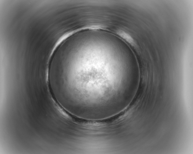 X0000086941420200704301128