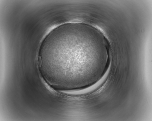 X0000086941422200704301128