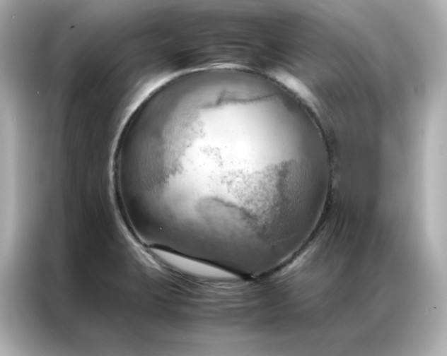 X0000086941423200704301128