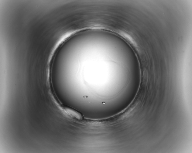 X0000086941424200704301128