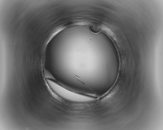X0000086941425200704301128