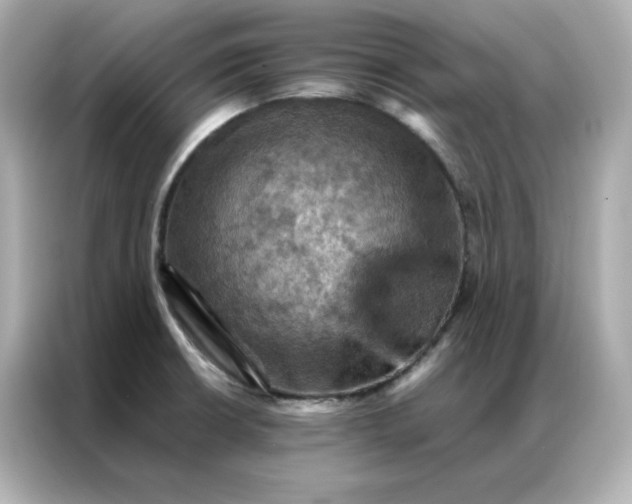 X0000086941426200704301128