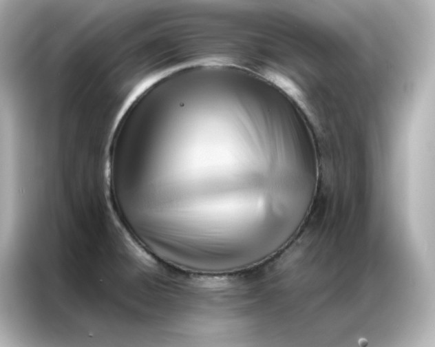 X0000086941428200704301128