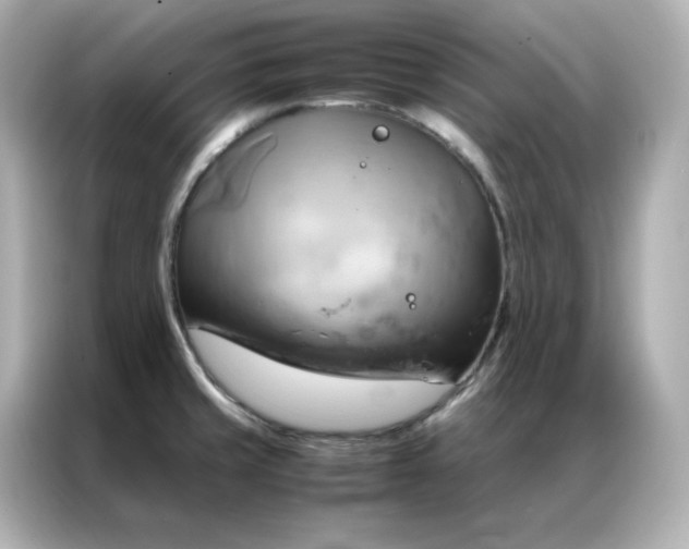 X0000086941429200704301128