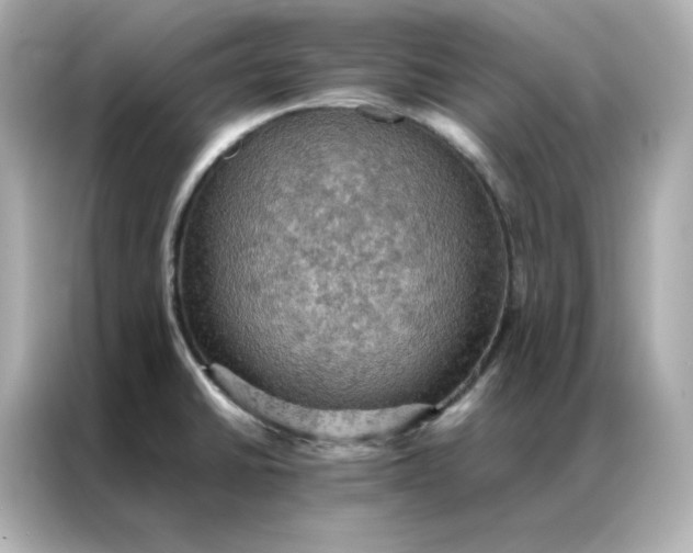 X0000086941430200704301128