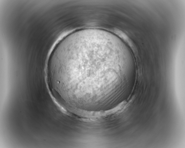X0000086941432200704301128