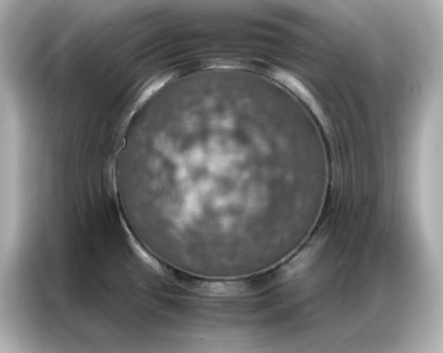 X0000086941433200704301128