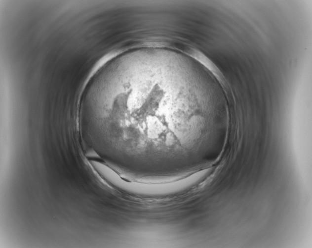 X0000086941436200704301128
