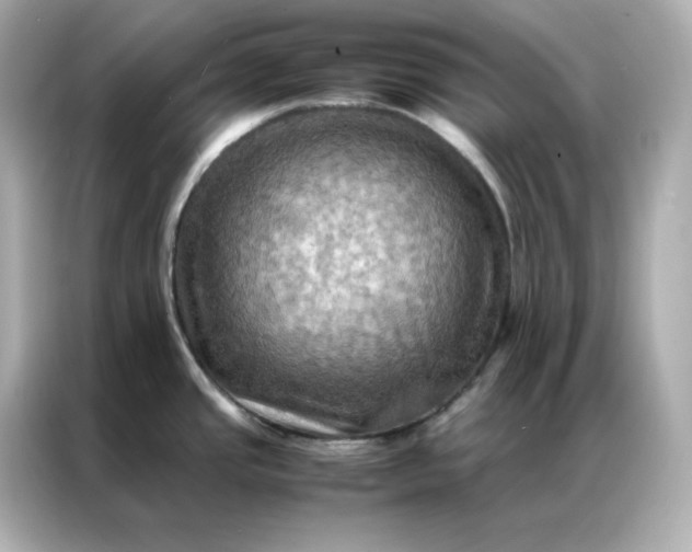 X0000086941437200704301128