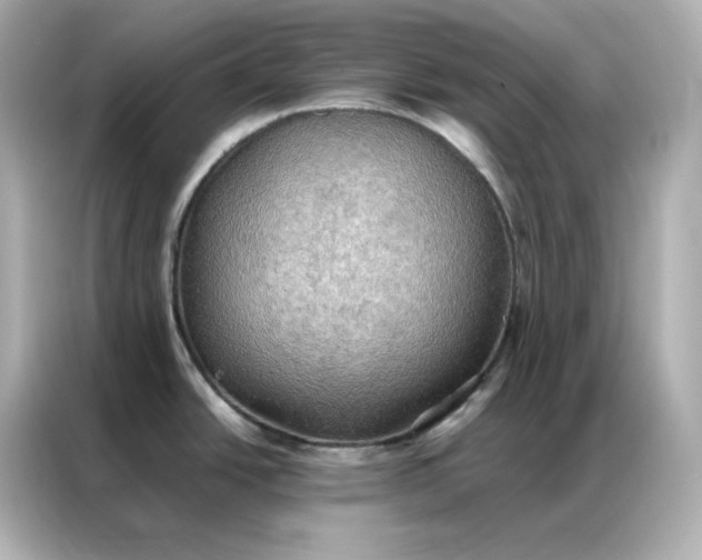 X0000086941438200704301128
