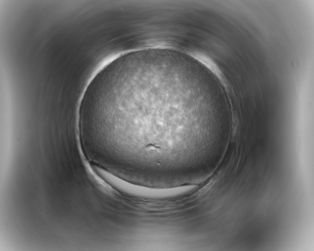 X0000086941439200704301128
