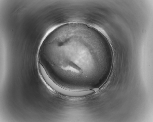 X0000086941440200704301128