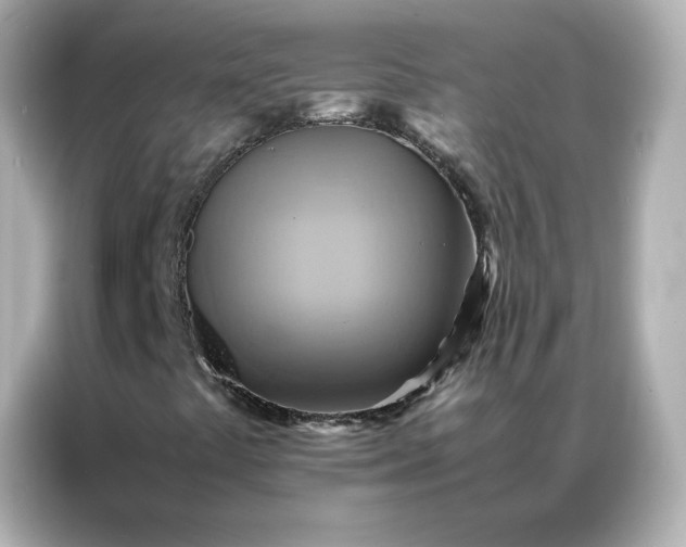 X0000086941441200704301128