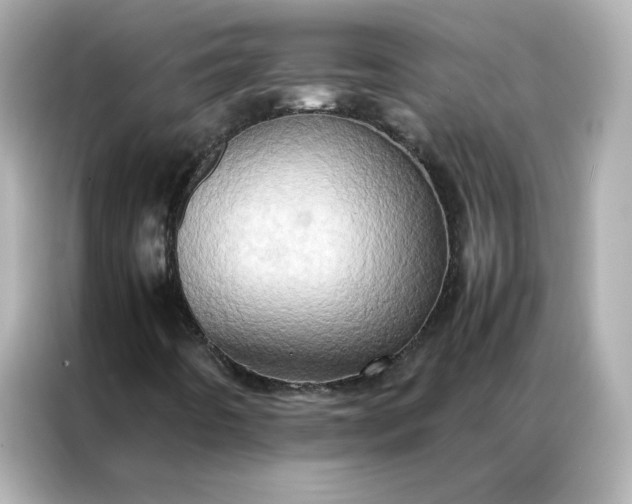 X0000086941442200704301128