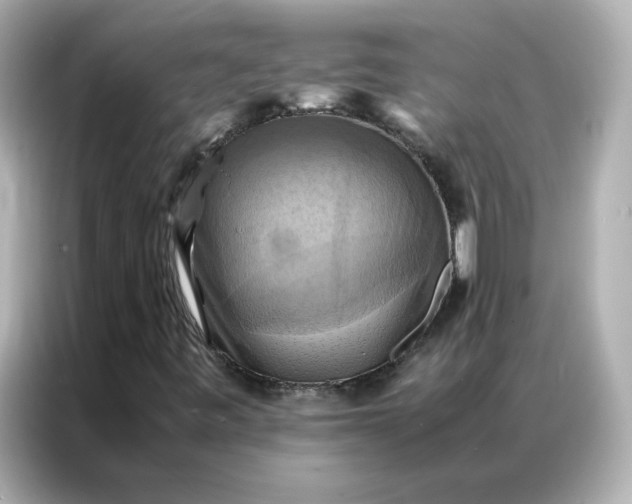 X0000086941443200704301128