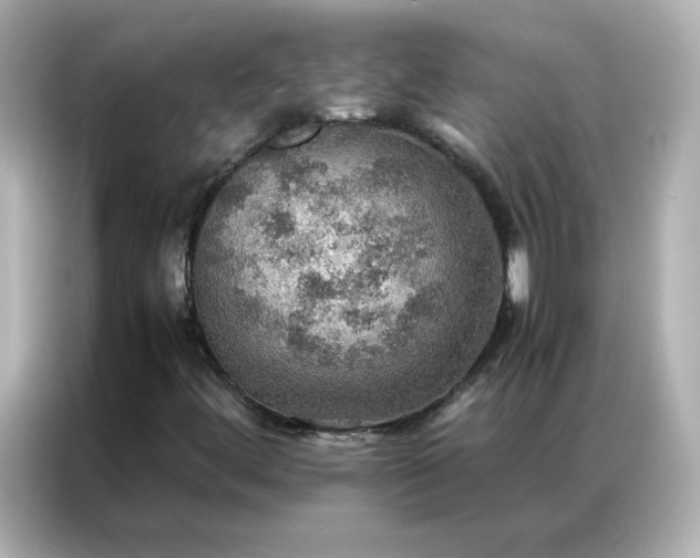 X0000086941444200704301128