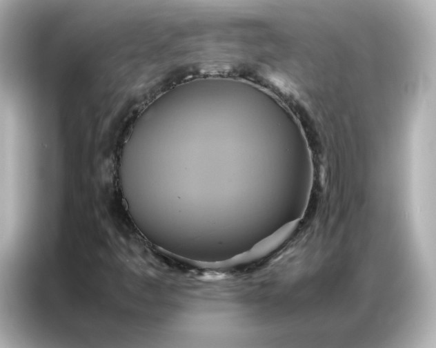X0000086941445200704301128