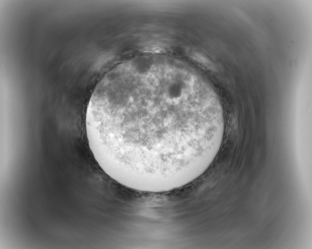 X0000086941446200704301128