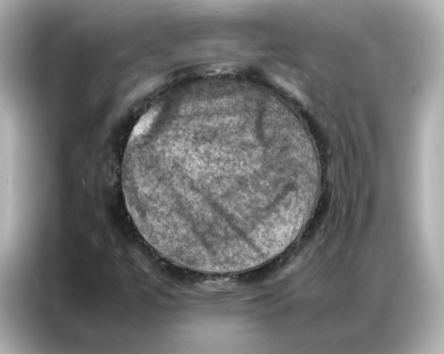 X0000086941447200704301128
