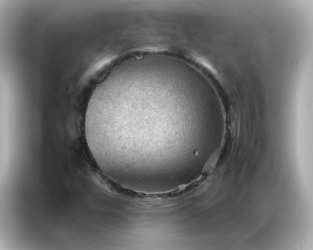 X0000086941448200704301128