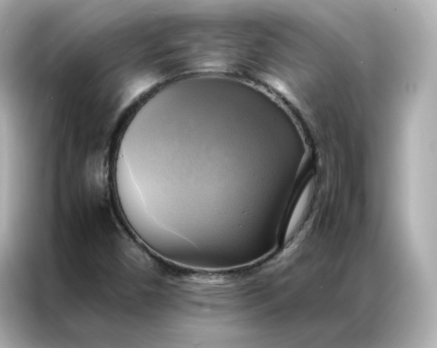 X0000086941450200704301127