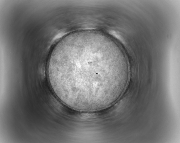 X0000086941451200704301127