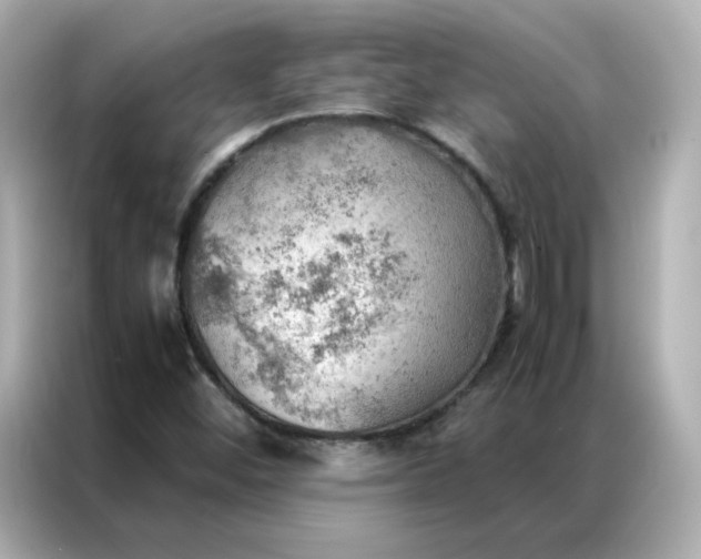 X0000086941452200704301127