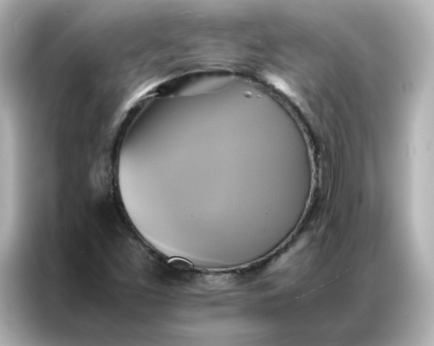 X0000086941453200704301127
