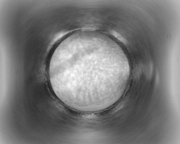 X0000086941454200704301127